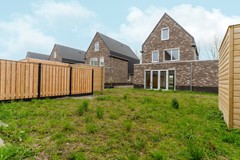 57-Moerasorchidee 13 - Lelystad.jpg